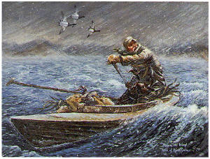 Damn the Wind by William J Koelpin
