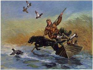Man's Best Friend by William J Koelpin